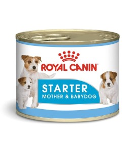 Royal Canin Canine Health Nutrition Starter Mousse (WET FOOD - Cans)