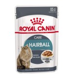 Royal Canin Feline Care Nutrition Hairball Gravy (WET FOOD - Pouches)