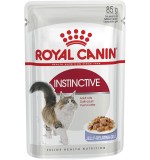 Royal Canin Feline Health Nutrition Instinctive Adult Cats Jelly (WET FOOD - Pouches)