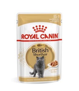 Royal Canin Feline Breed Nutrition British Shorthair (WET FOOD - Pouches)