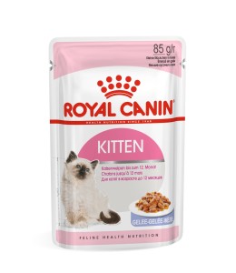 Royal Canin Feline Health Nutrition Kitten Jelly (WET FOOD - Pouches)