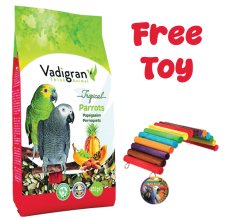 Vadigran Parrot Tropical 650 gr with Mix Fruits - Rainbow Bridge - 1