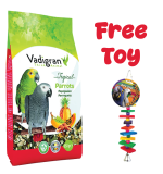 Vadigran Parrot Tropical 650 gr with Mix Fruits - Candy Crush With Bell - 1