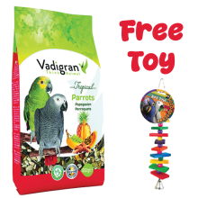 Vadigran Parrot Tropical 650 gr with Mix Fruits - Candy Crush With Bell - 1