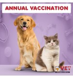 Vet Clinic Annual vaccination cat/dog