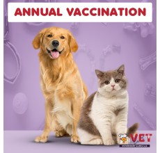 Vet Clinic Annual vaccination cat/dog