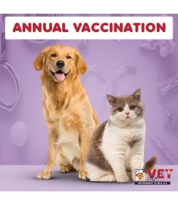 Vet Clinic Annual vaccination cat/dog