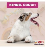 Vet Clinic Kennel Cough