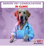 Vet Clinic SENIOR Vet Consultation ( In Clinic)