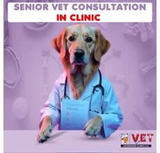Vet Clinic SENIOR Vet Consultation ( In Clinic)