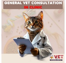 Vet Clinic GENERAL Vet Consultation ( In Clinic)