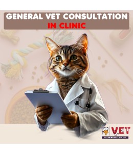 Vet Clinic GENERAL Vet Consultation ( In Clinic)