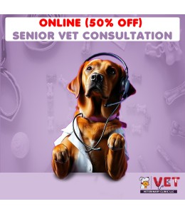 Vet Clinic SENIOR Vet Consultation ( Online )