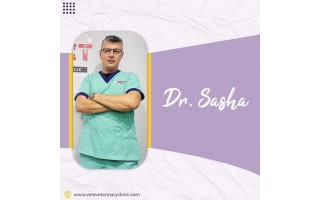 Vet Veterinary Clinic Collaboration
