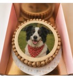 Pet Corner X Varak Collection : Dog cake With Picture