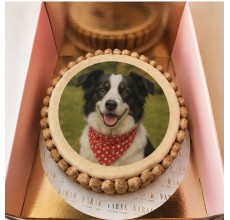 Pet Corner X Varak Collection : Dog cake With Picture