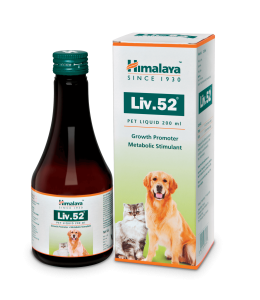 Himalaya Liv 52 Hepatoprotective Appetite Stimulant