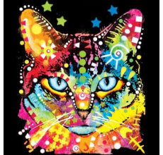 Drymate Mats for Cats Blue Eyes 12 X 20 Inch 30 Cms X 50 Cms