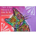 Drymate Mats for Cats Teach A Cat 12 X 20 Inch - 30 Cms X 50 Cms