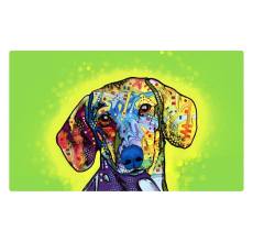 Drymate Mats for Dogs Dachshund 12 X 20 Inch - 30 Cms X 50 Cms