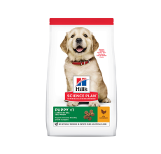 Hill's Science Plan Large Breed Puppy Food with Chicken - 800g