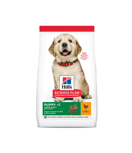 Hill's Science Plan Large Breed Puppy Food with Chicken - 800g