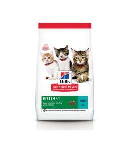 Hill's Science Plan Kitten Food with Chicken - 300g