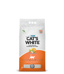 Cat's White 5L Orange