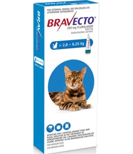 Bravecto for Cats 2.8 - 6.25 kg Spot-On 0.89ml