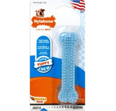 Nylabone Puppy Chew Blue Dental Bone, Chicken Petite Nylon Chews