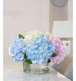Hydrangea Mix (1 Stem)