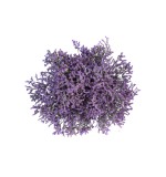 Limonium Skylight Blue (10 Stems)