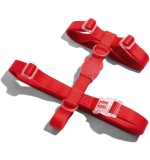 Zee Dog Extra Small H Harness Red