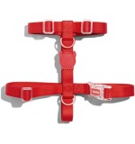 Zee Dog Large H Harness Red