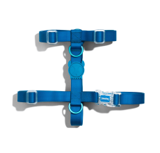 Zee Dog Medium H Harness Blue
