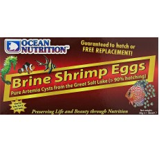Brine Shrimp Eggs 20g
