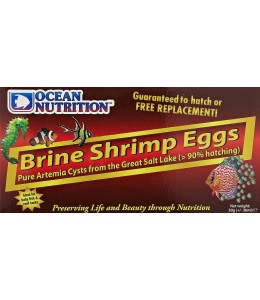 Brine Shrimp Eggs 20g