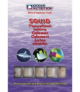 Ocean Nutrition Squid 100g