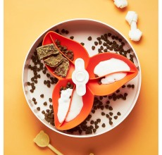 PetDreamHouse SPIN Interactive Feeder Bougainvillea Orange