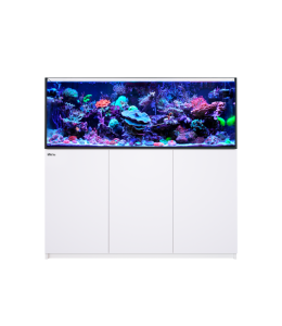 Reefer 525 G2 White (108 Gal)