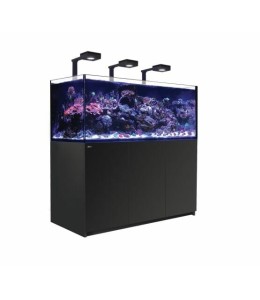 Reefer 525 G2 Black (108 Gal)