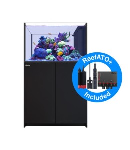 REEFER Peninsula 350 G2+ (Black)