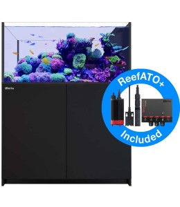 REEFER Peninsula 500 G2+ (Black)