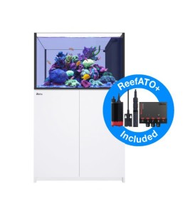 REEFER Peninsula 350 G2+ (White)