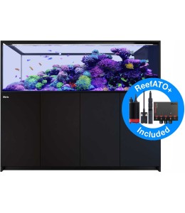 REEFER Peninsula S 950 G2+ (Black)