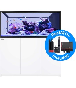 REEFER Peninsula S 700 G2+ (White)