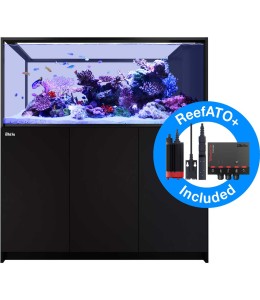 REEFER Peninsula S 700 G2+ (Black)