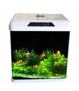 OBLONG AQUARIUM TANK R230 (Color May Vary)