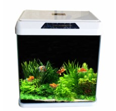 OBLONG AQUARIUM TANK R320  (Color May Vary)