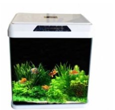 OBLONG AQUARIUM TANK R400 (Color May Vary)